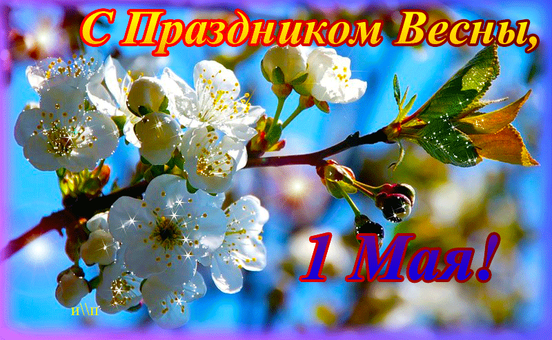 http://i5.imageban.ru/out/2013/04/27/6c671397901c169004bb11a0693b451e.gif