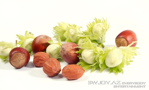 Fındığın bilinməyən faydaları Fındığın bilinməyən faydaları