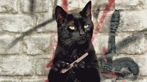 8b8bde1e3e4fc3b2bdd7023db54b0ef9.gif