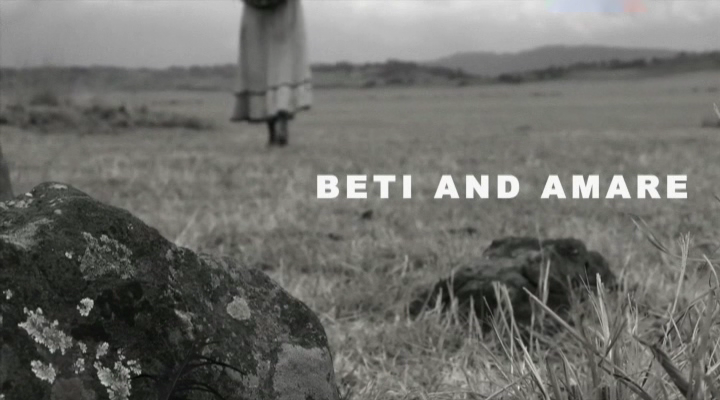 Beti And Amare (2014)