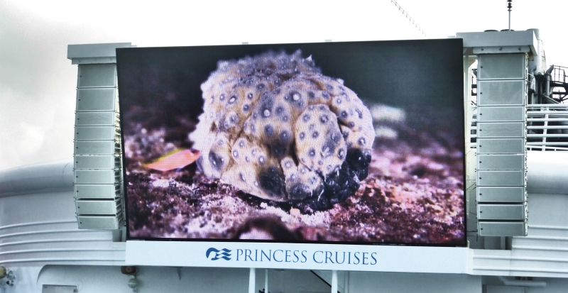 Праздничный круиз Sapphire Princess по Юго-Восточной Азии 23.02-10.03.15
