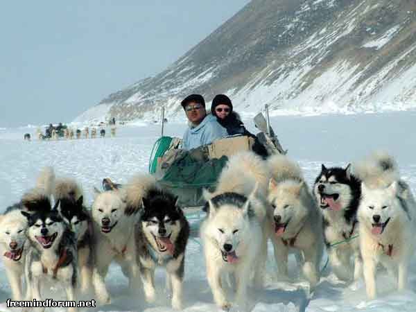 http://i5.imageban.ru/out/2015/05/16/ac336156e7838b2f85586481d7492cab.jpg