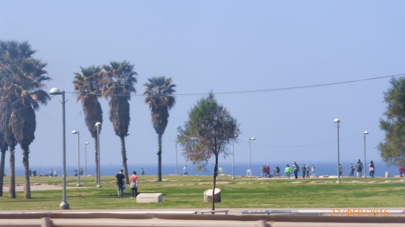 "Фантазия" в Средиземноморском круизе в феврале 2016 года