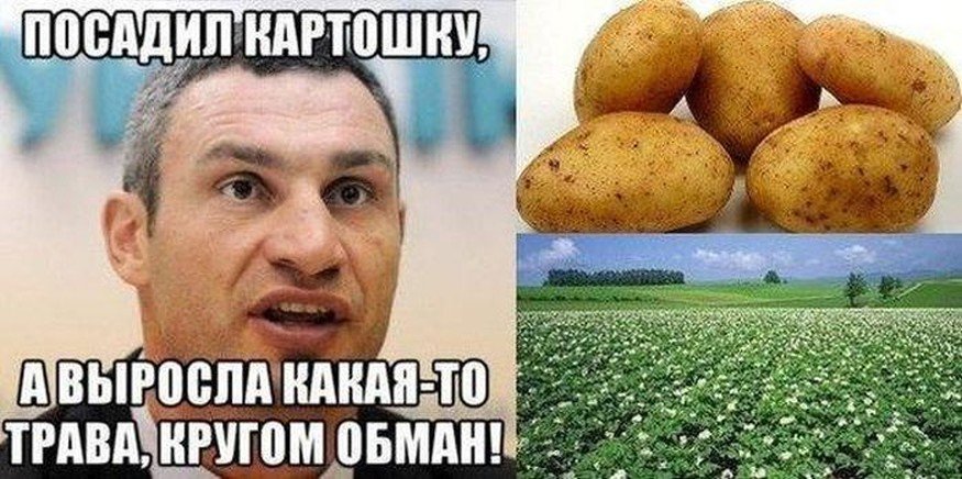 Сборка № 284 Сборка № 284