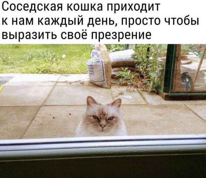 Сборка № 287 Сборка № 287