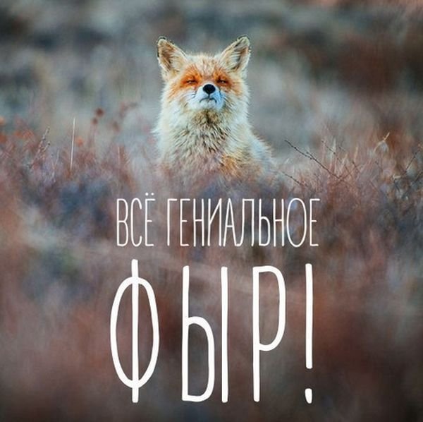 Сборка № 287 Сборка № 287