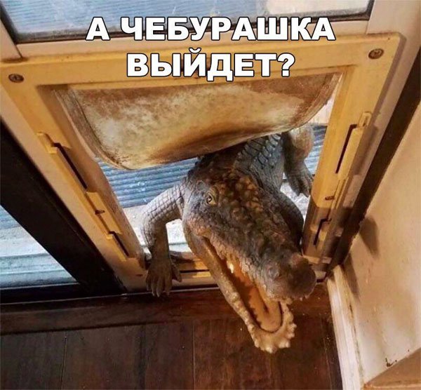 Сборка № 293 Сборка № 293
