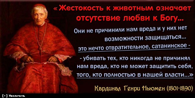 Что значит отношения с богом Что значит отношения с богом