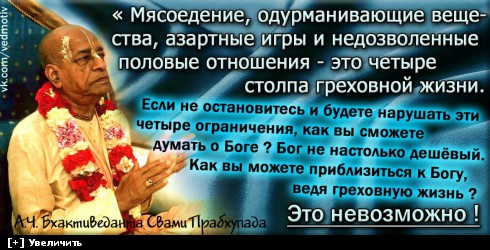 http://i5.imageban.ru/thumbs/2013.12.13/03128d707042d31b1638c779afc1bdfe.jpg
