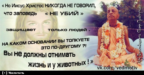 http://i5.imageban.ru/thumbs/2013.12.13/04292d4dfd58738e40d1574f72ed5e64.jpg