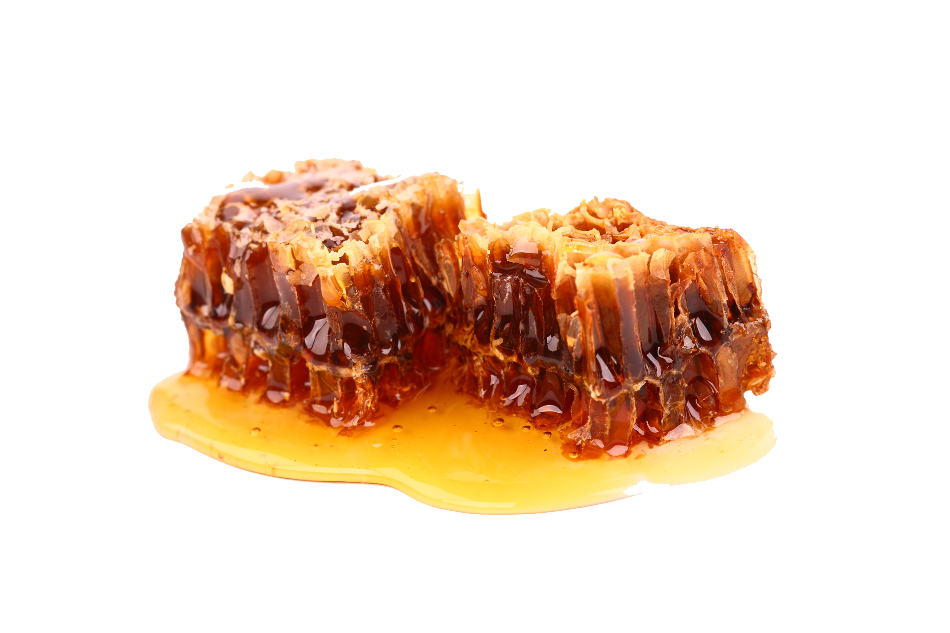 honey08 копия.png