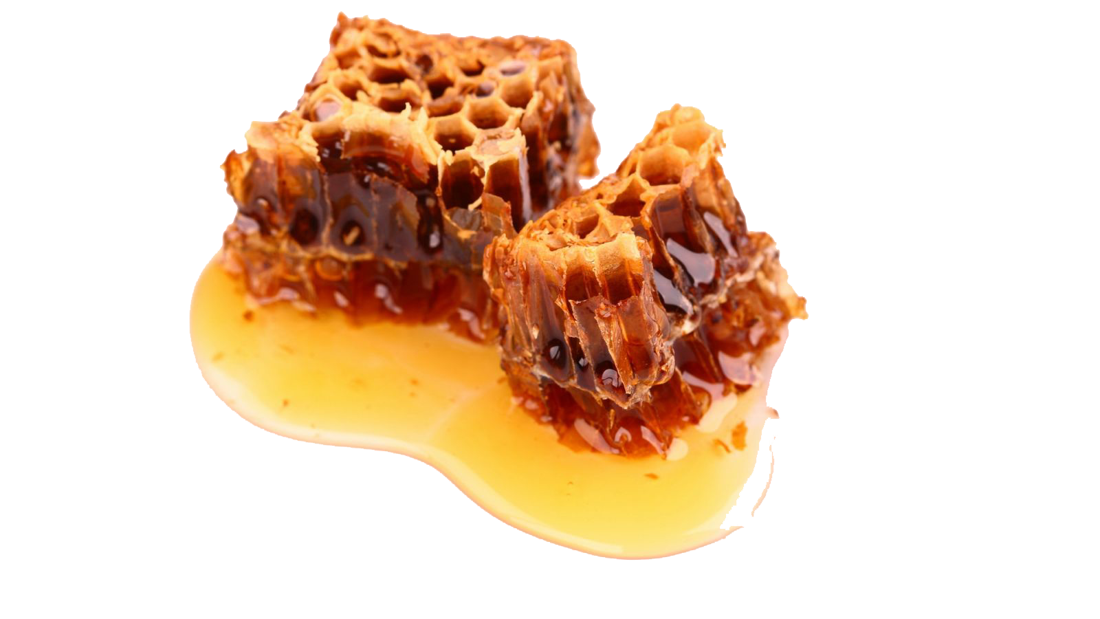 pchelinie+soti+medovie+soti+soti+vektor+soti+med+90801672555 копия.png