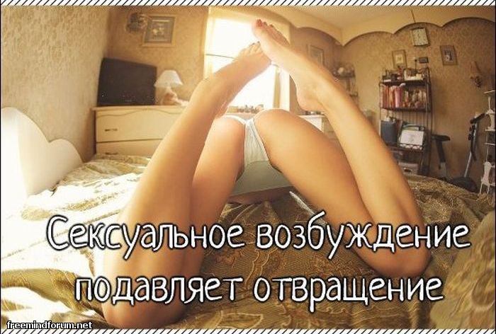 http://i5.imageban.ru/out/2013/05/19/c92eddd06cad37425935f403a6b1d4a8.jpg