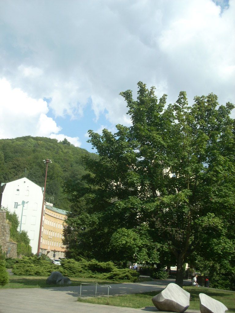 Памятники природы