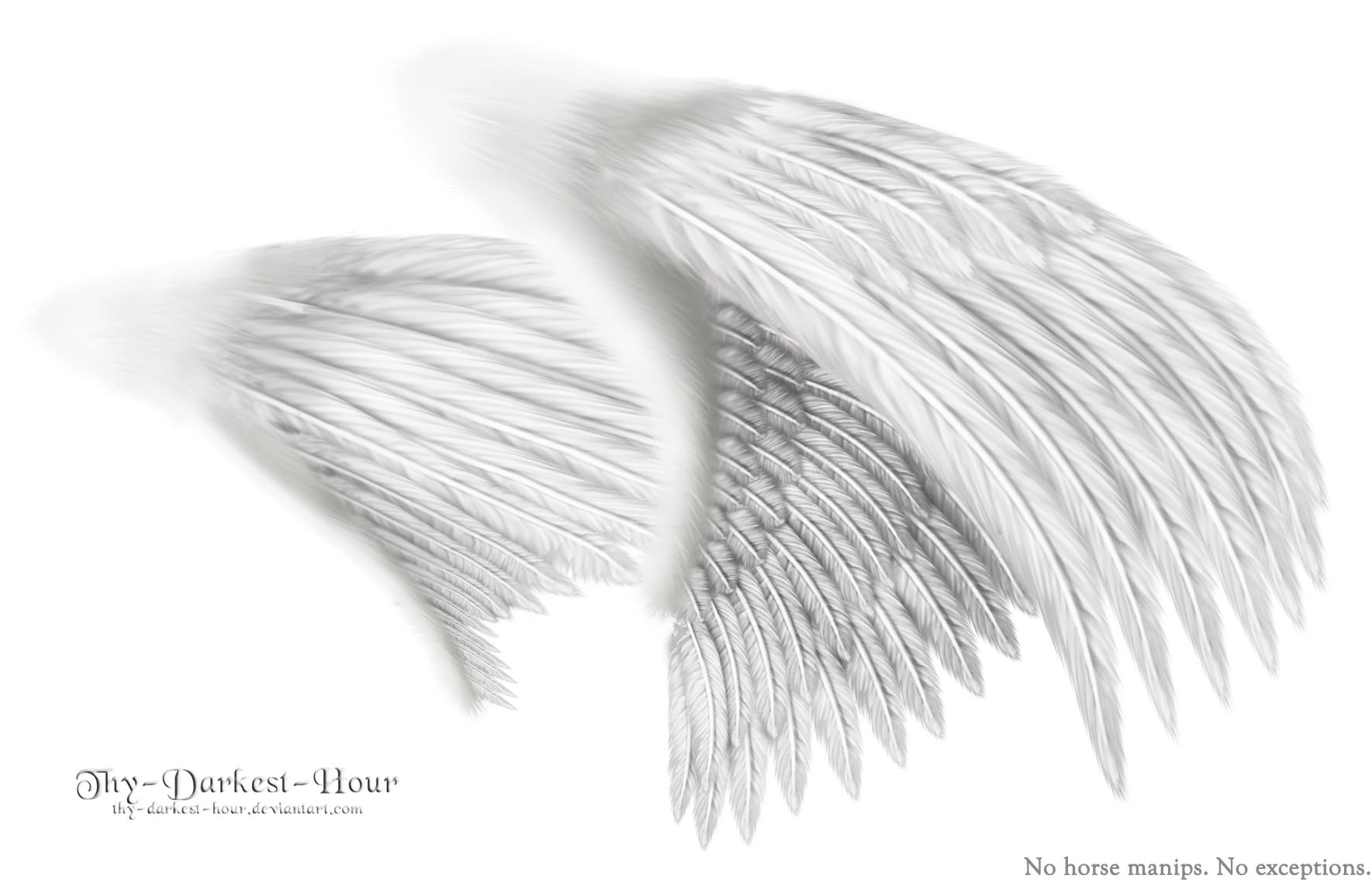 dual_wings_white___med__png_by_thy_darkest_hour-d5bhccu.jpg