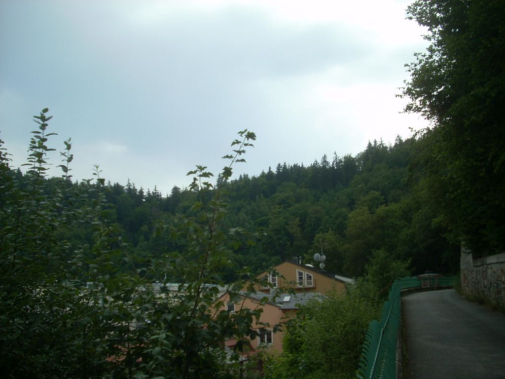 Фотографии