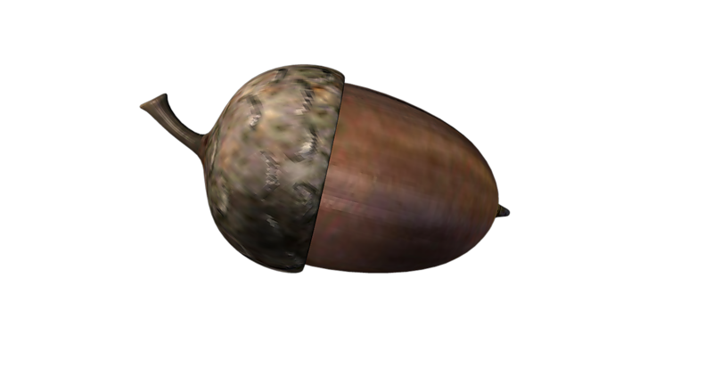 acorns92.png