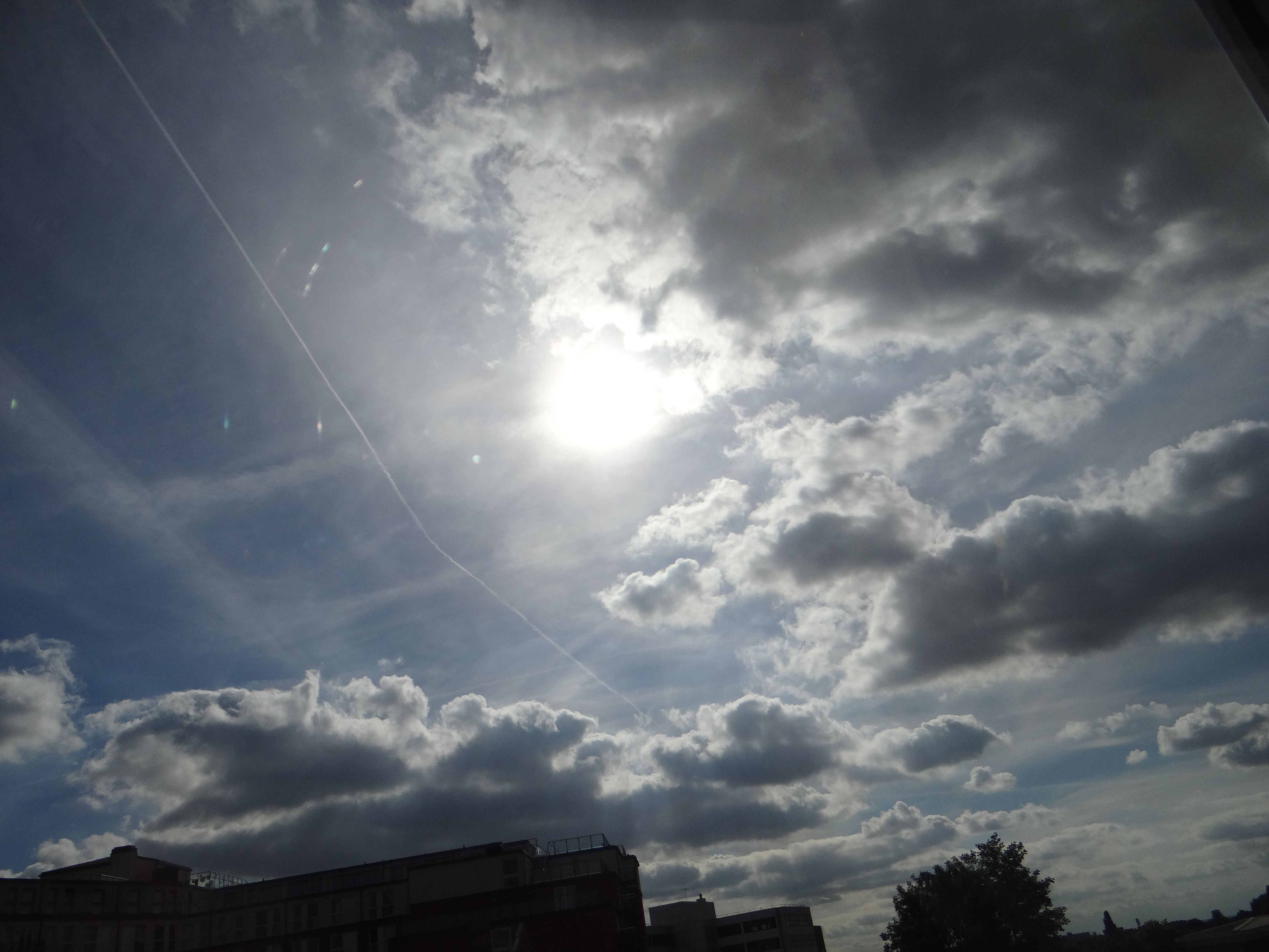 DSC05486.JPG
