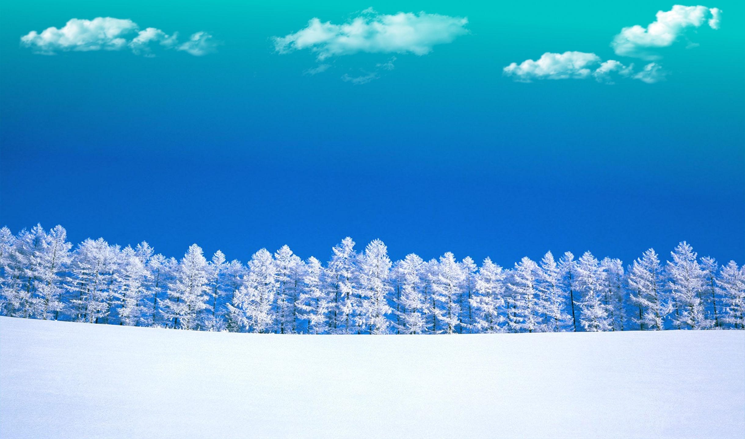 Winter.jpg