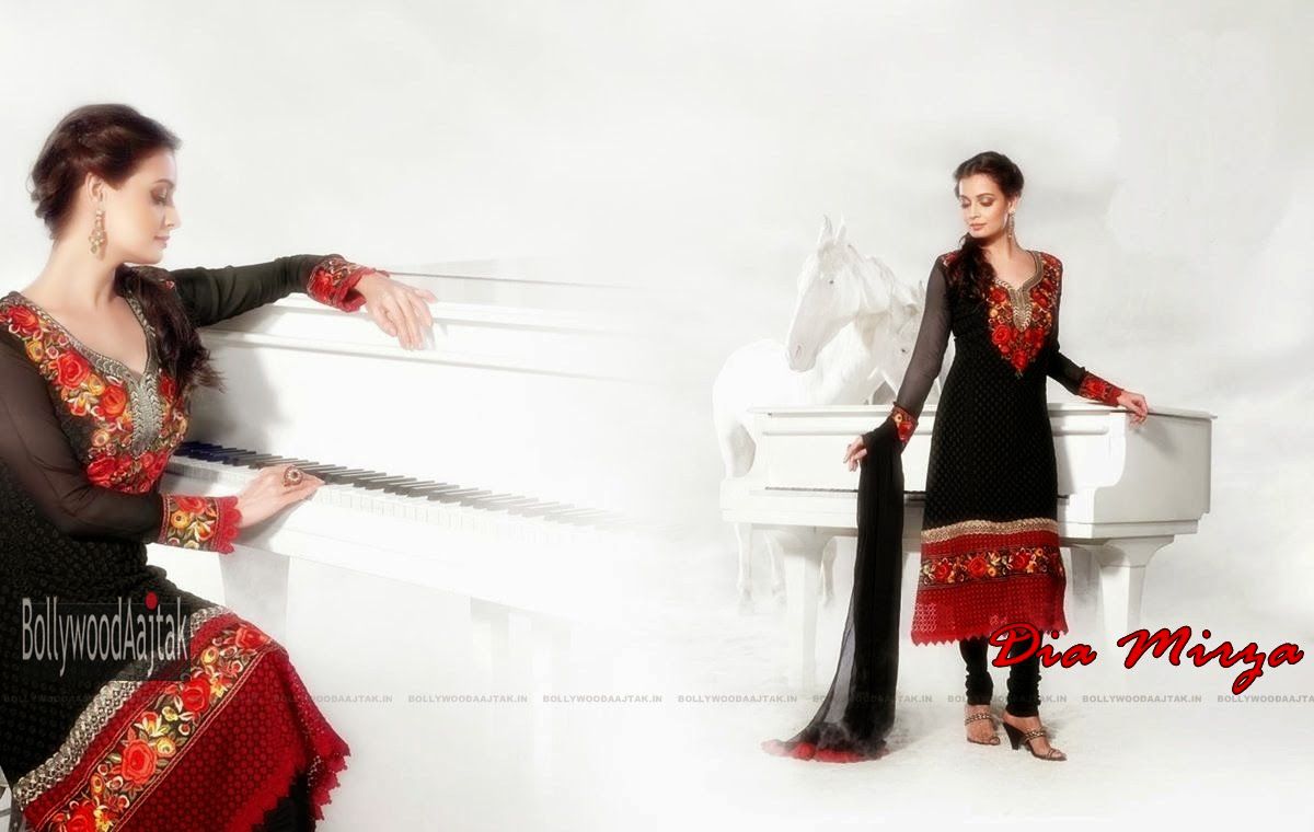 Dia Mirza 2014 Wallpapers (2).jpg