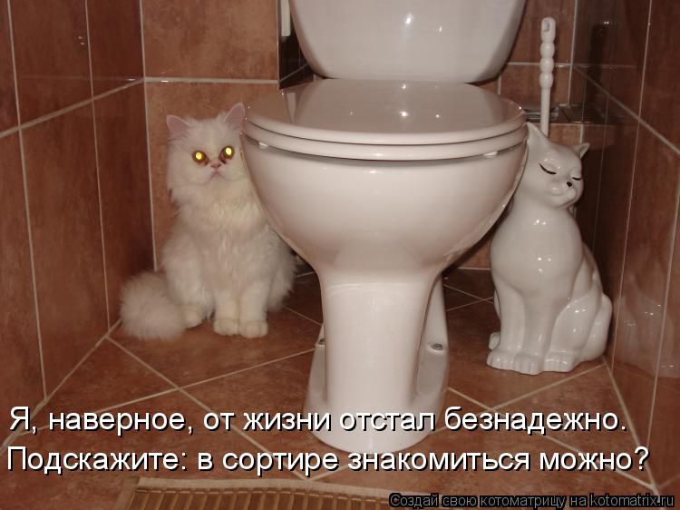 http://i5.imageban.ru/out/2014/10/08/54199fa5d52a70bb9577bef01d67339b.jpg
