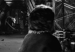 tumblr_ndjeq3BAvq1rqdg21o8_250.gif