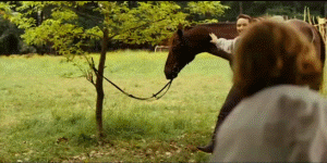 tumblr_ng70ea5Yhx1tpeh5qo5_400.gif