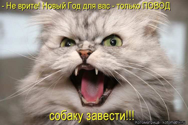 http://i5.imageban.ru/out/2014/12/27/eda8a33c84eaca369bf2e0173d052a56.jpg