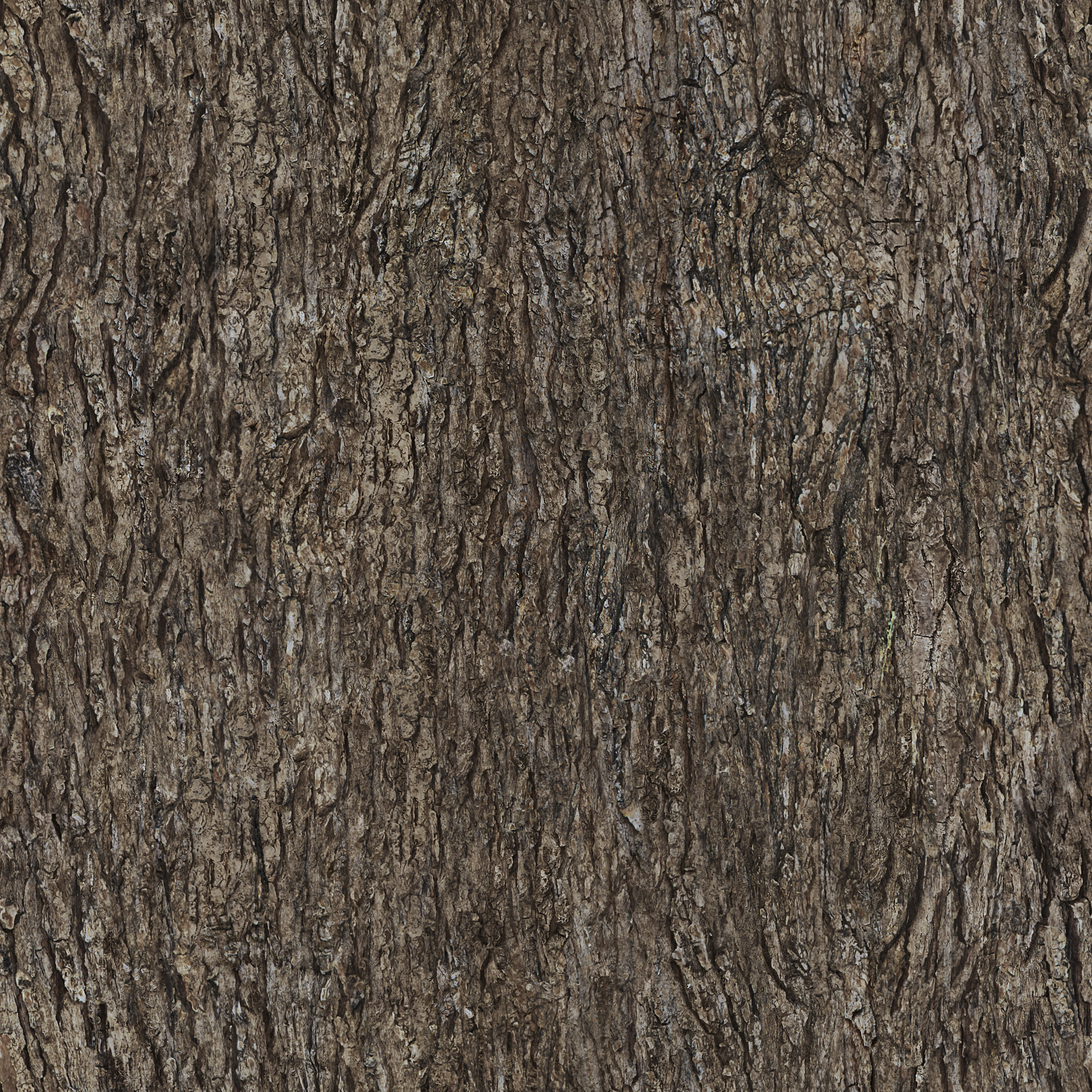 tileable_tree_bark_texture_by_ftourini-d3l69hz.jpg