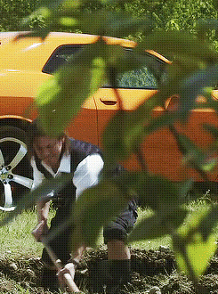 tumblr_nhyty1mYgR1r3wsyqo3_250.gif