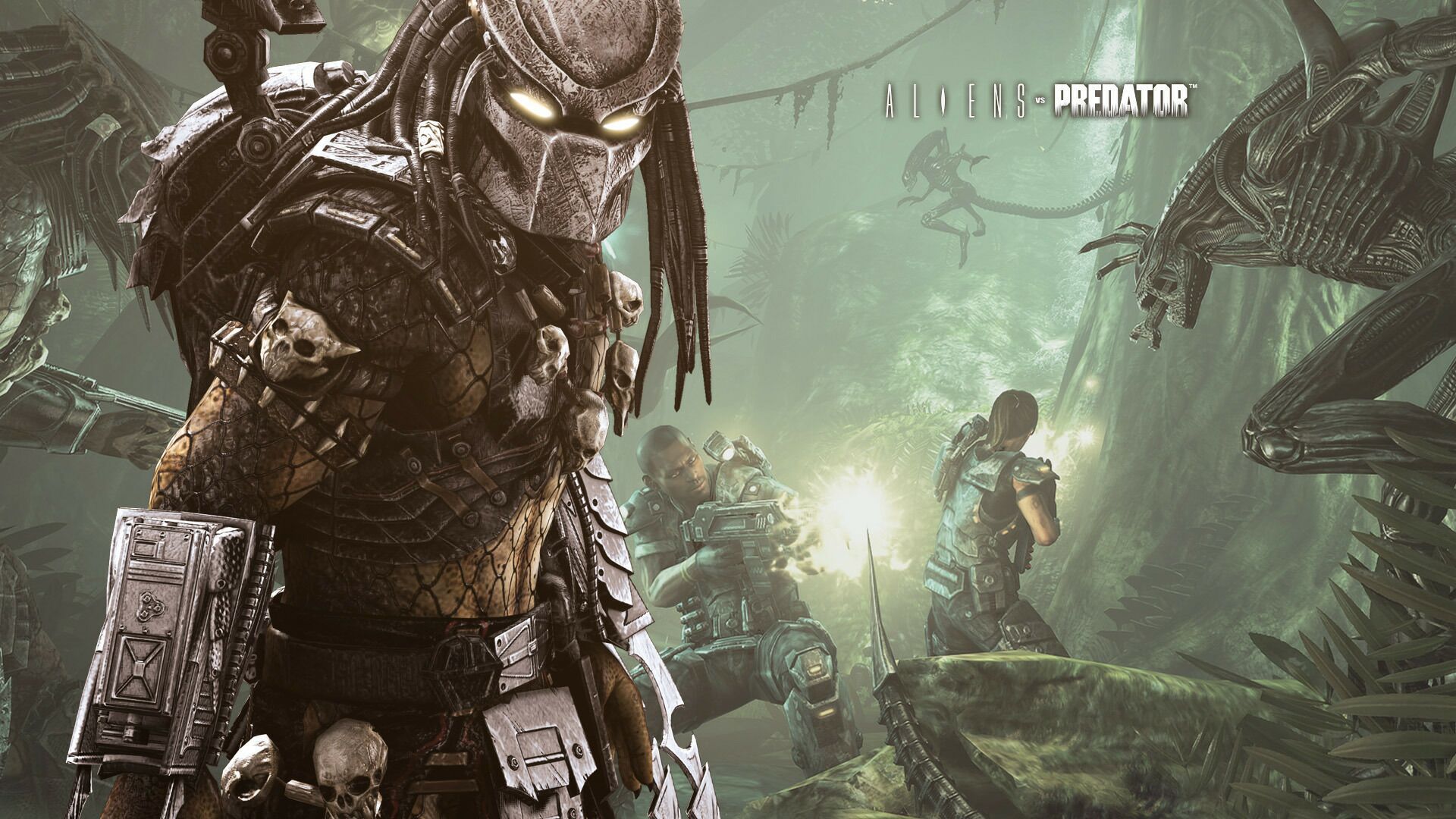aliens vs predator, хищник.jpg