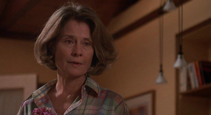 The.Net.1995.bdrip_[1.46]_[teko][(157487)09-37-51].PNG