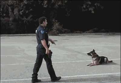 1ckQHYr.gif