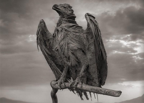 Natron00.jpg