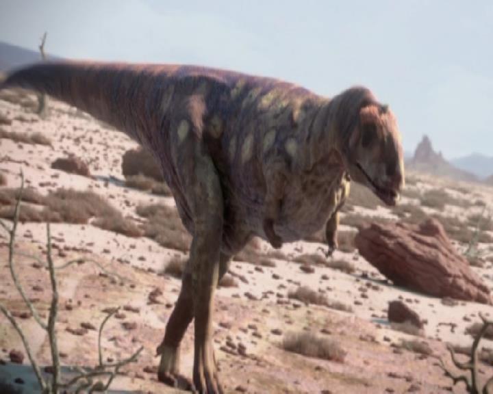 PDVD_008.JPG