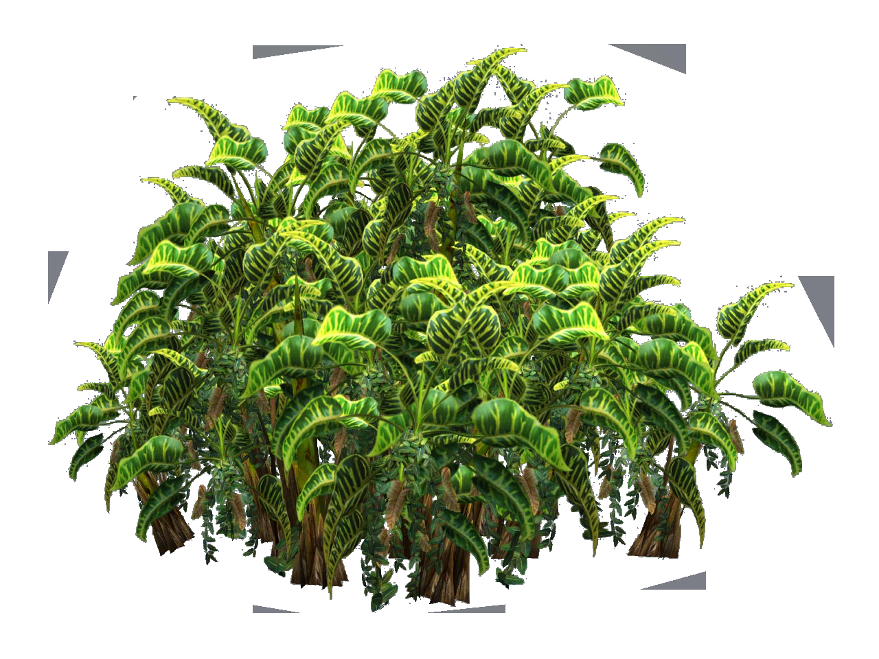 tropical_plant_stock_tube_png_by_digitaltwist-d30sesn.png