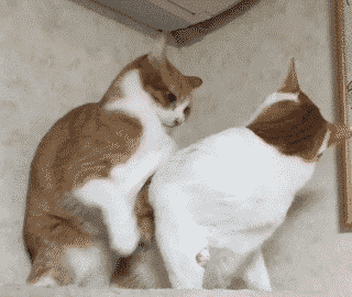 0_10f3a1_25abd1e0_L.gif