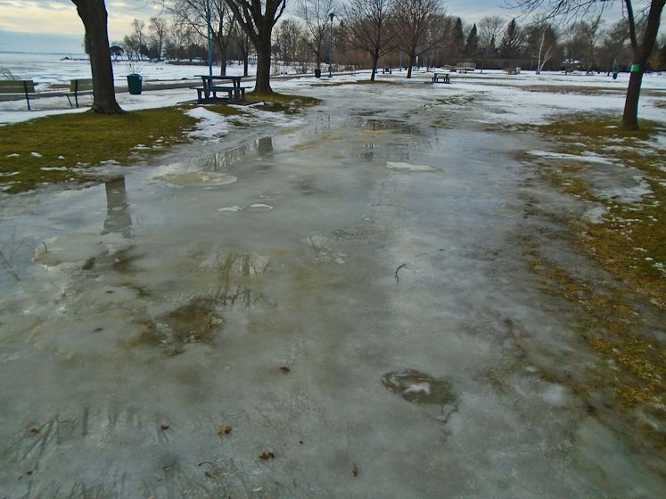 january 31, 2016 smalls-30.jpg