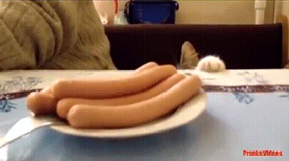 123776_900.gif