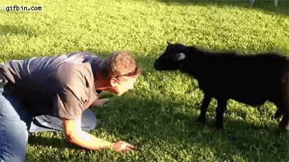 a351d00e7b.gif