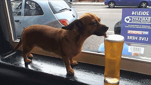 0_14b3d5_6b97d4db_orig.gif