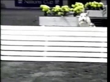 f2ac609e37668f3af969c3444f779dd5.gif