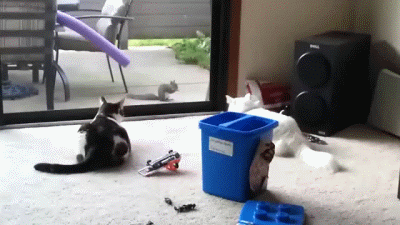ра65.gif