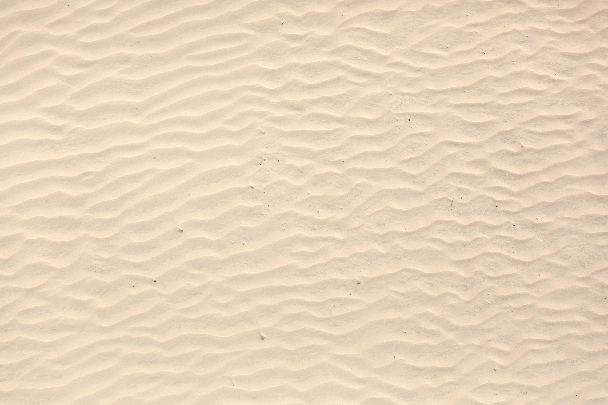 Sand-Texture.jpg