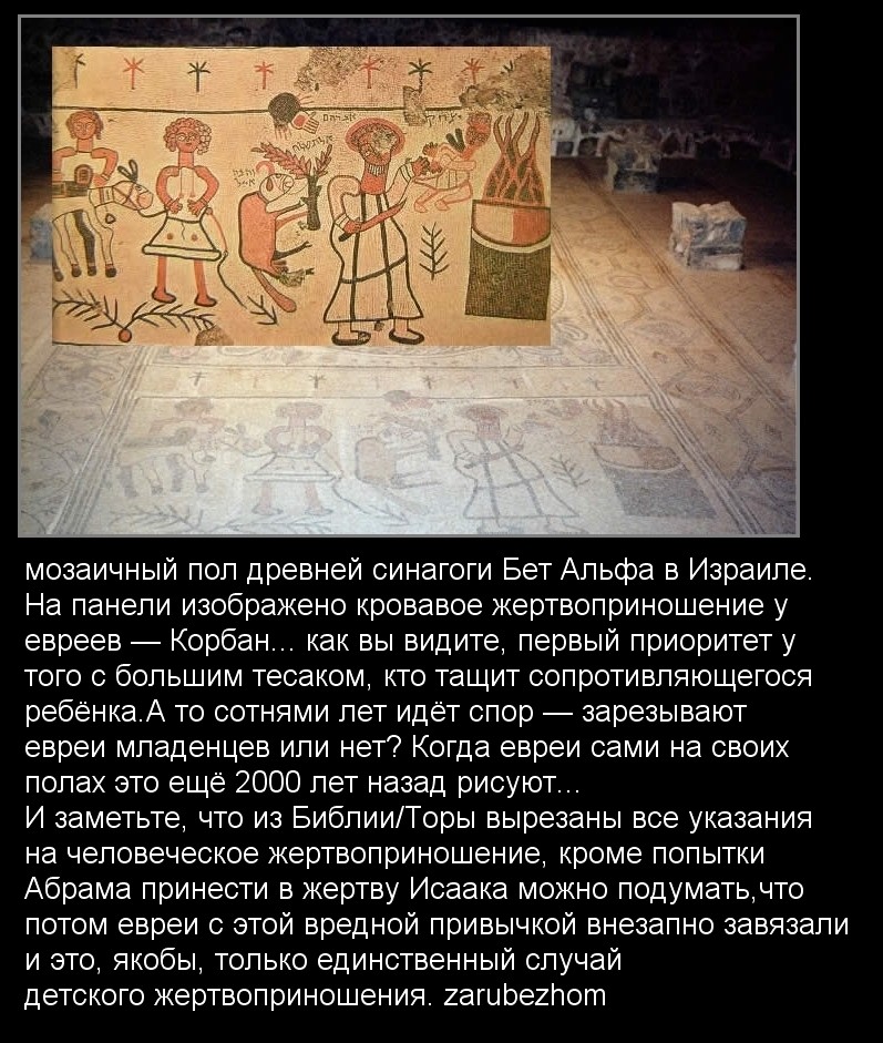 8cbb76 (2).jpg