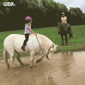 123.gif