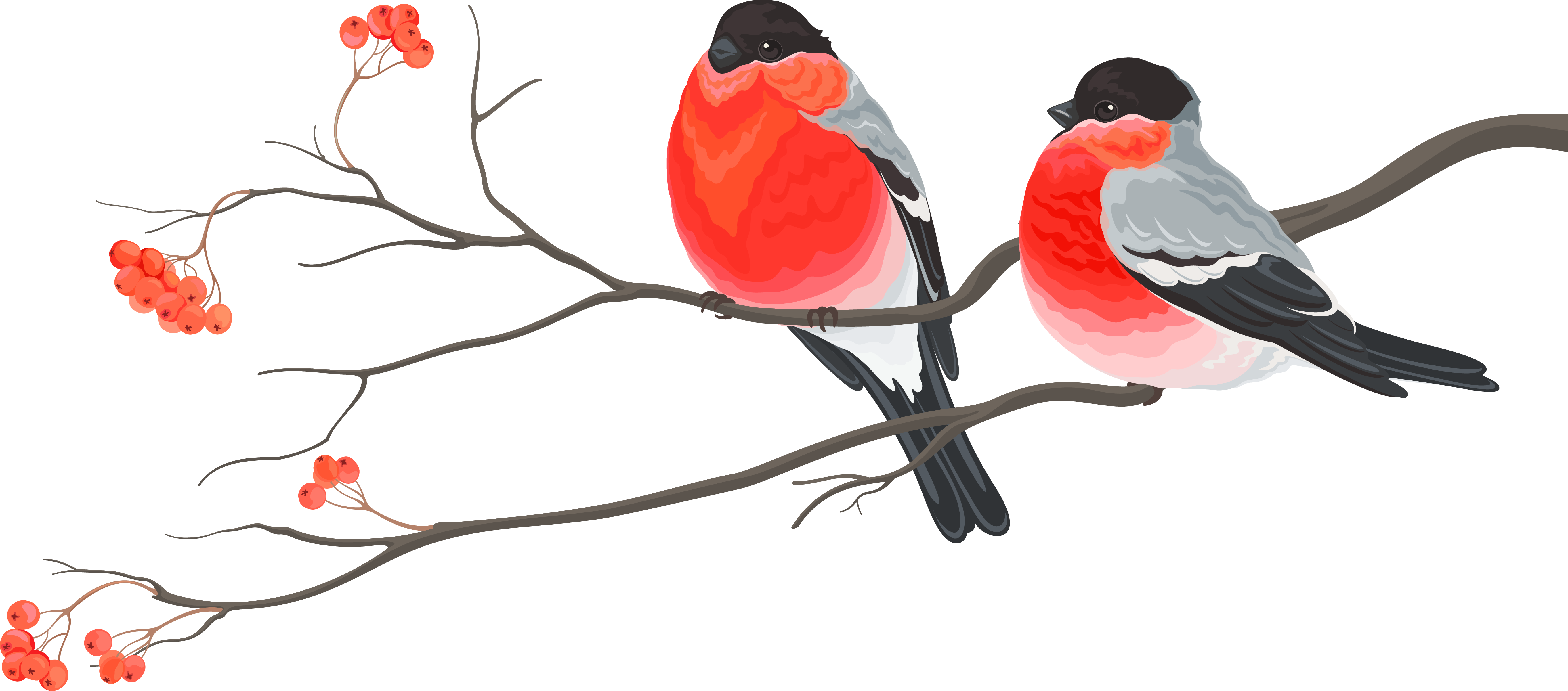 SviDen.RU_NYPNG_Birds (4).png