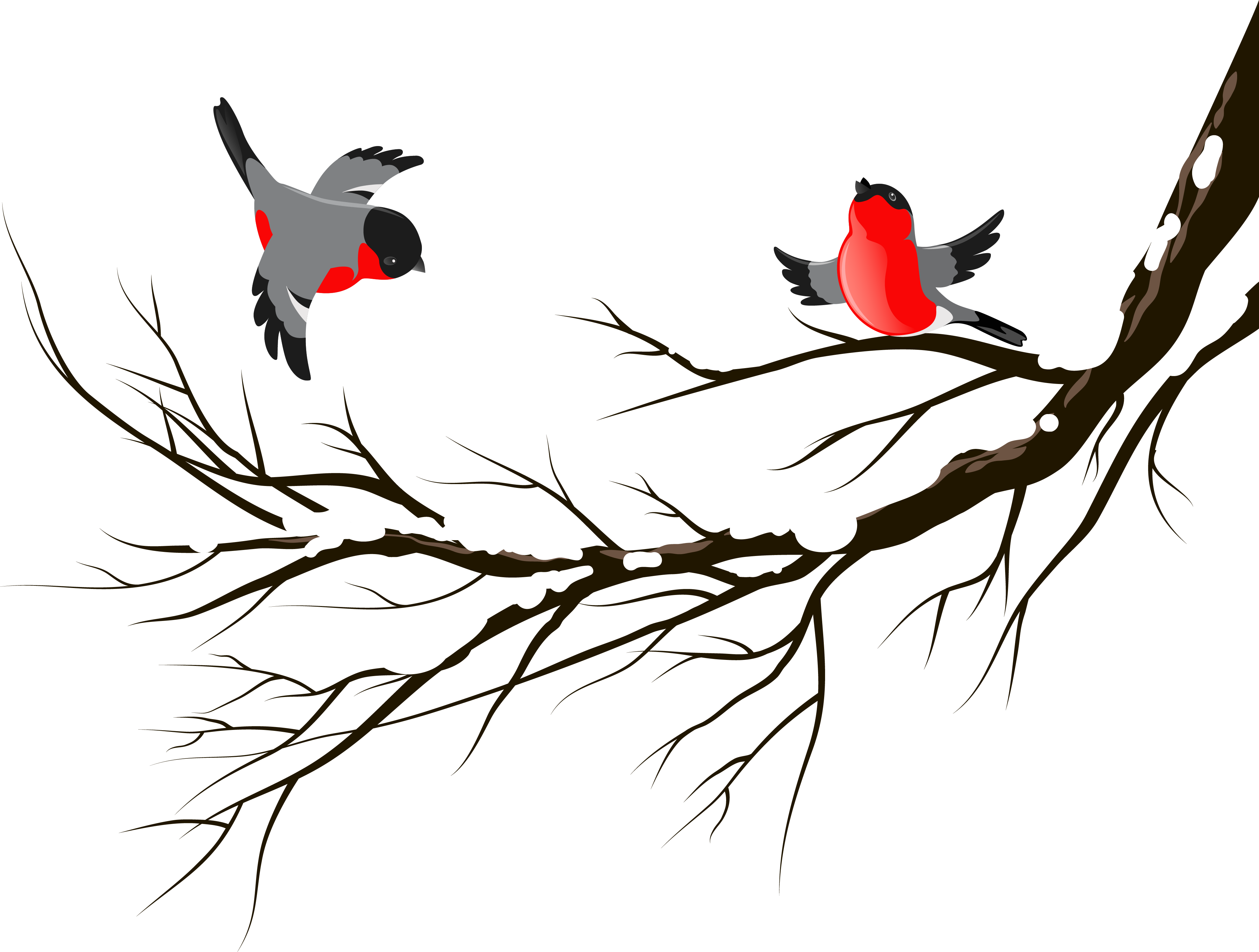 SviDen.RU_NYPNG_Birds (8).png