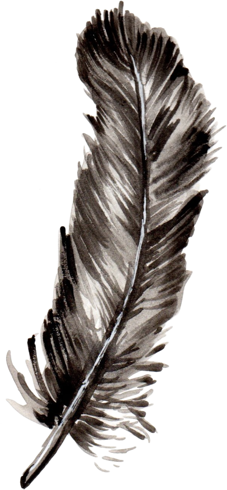 Feathers-08.png