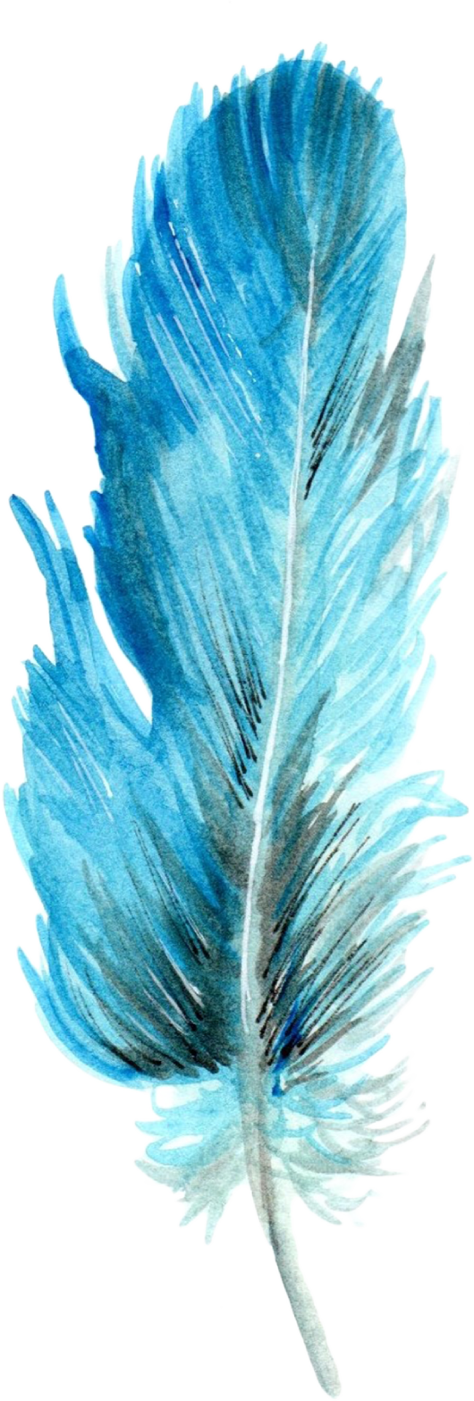 Feathers-06.png